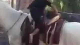عقل داشتن به سن نیست 😇😇🤭🤭