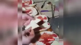 رگبار فالو شه