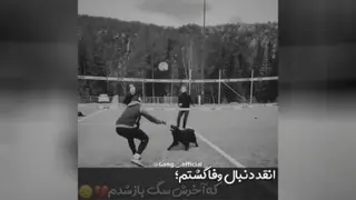 وفاداری