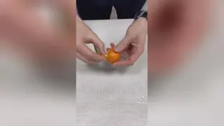 فیلم ببینید