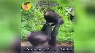 خنده دار
