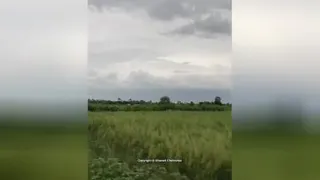 آهنگ بوی شالیزار محمد نوری