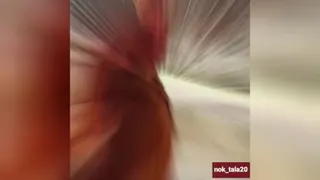 نوک طلا