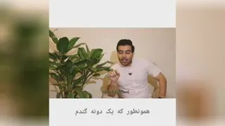 این‌ رنجیدم