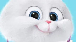 انیمیشن زندگی مخفی حیوانات خانگی2😍🐰دوبله فارسی