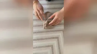 تا کردن جوراب