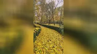 زیبایی ایران
