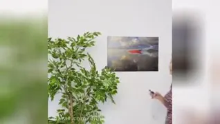 ترفند باحال