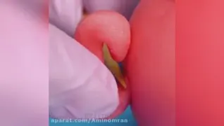 ترفندتزئین کیک