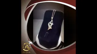 معرفی محصول گردنی اسم مهشید