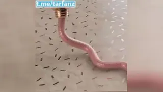 آرامش