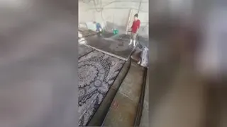 کارخانه5