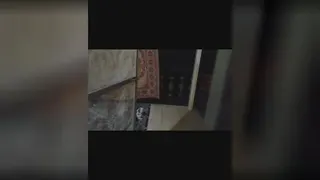 بازی کردن بچه گربه های ناز 🐱
