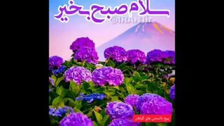 کلیپ