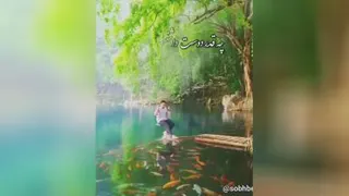 حرفهایی که باید گفت