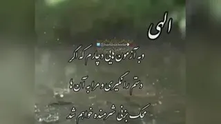 ویدئو
