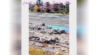 طبیعت زیبا و دلنشین جلگه زمین