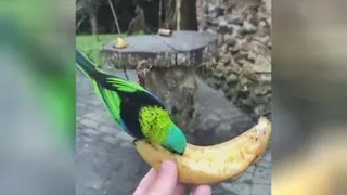 چه زیبا میخوره میوه خداوند آفرینش🥰