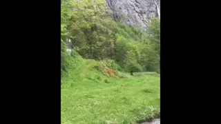 اجتماعی