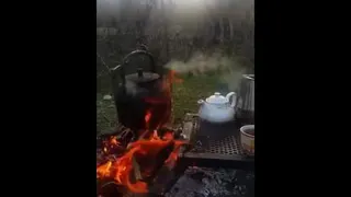 اجتماعی