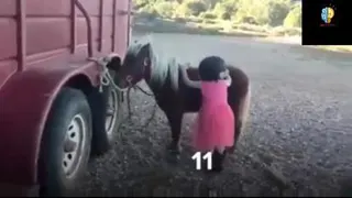اراده قوی