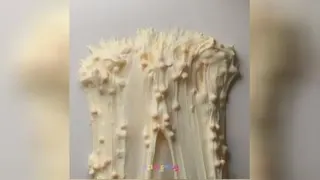 اسلایم کیوت