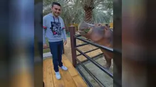واقعا جالبه