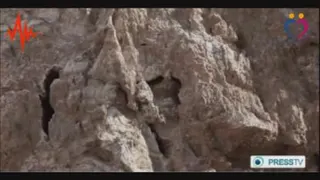 ماردم عنکبوتی
