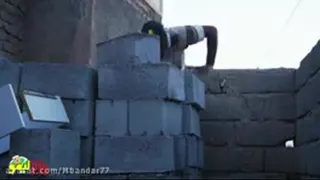 تیمور دستپاچه 1