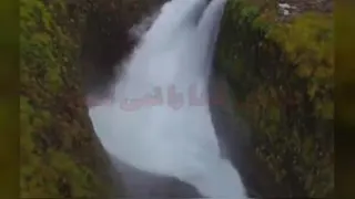 اکسیر زندگی