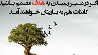 انیمیشن زوتوپیا