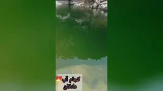 کلیپ