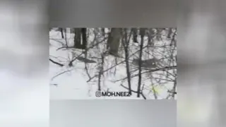 حتما تا آخر ببینید😂😂