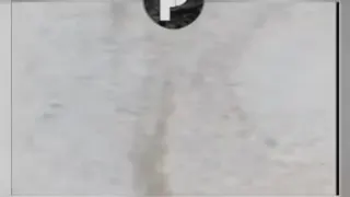 تشریح اسپرم زیر میکروسکوپ