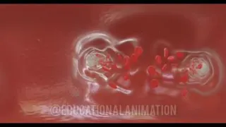 انیمیشنی از درون رگ خونی
