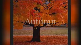 شاهکار آنتونیو ویوالدی موسیقی چهار فصل-Four Seasons