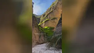 چند لحظه آرامش 🌿