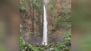 شادزندگی کنید