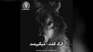 گرگ زاده را محتاج نوازش نیس