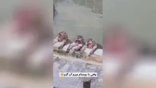 وقتی با دوستات میری جکوزی