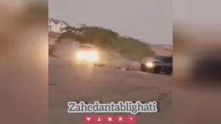 شوتی‌سوار