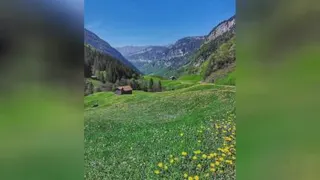 کوه و دشت