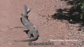 با سلام خدمت دوستان عزیزم لتفند مار حمایت کونیده