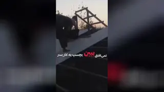 نجاری حلب طراح سفال