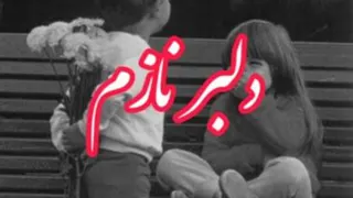 دیوانگی نابی تو