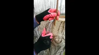 آموزشی