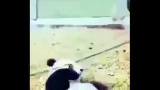 پسراوقتی دوستدختراشون ولشون میکنن.😊