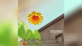 صبور باش