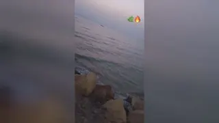 دریا 🌊🌿