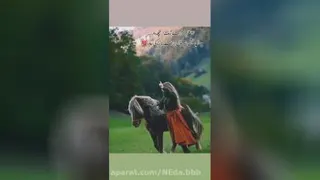 انگیزشی